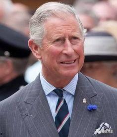英国查尔斯爆料视频大全,揭秘王室不为人知的秘密 第2张 英国查尔斯爆料视频大全,揭秘王室不为人知的秘密 第2张