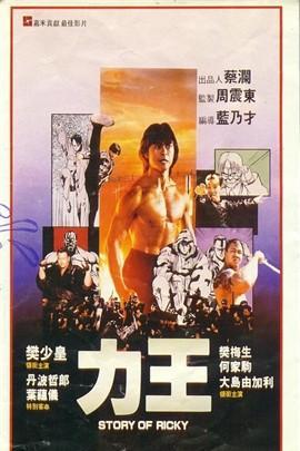 力王1991国语在线观看,激战巅峰，热血沸腾的国语在线观影之旅  第3张