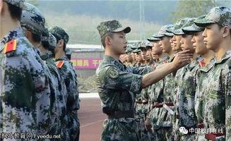 爆料军训教官犯法吗视频,视频曝光引发社会关注 第3张 爆料军训教官犯法吗视频,视频曝光引发社会关注 第3张